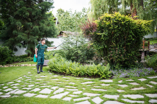 Best Pest Inspection Near Me  in Piney Mountain, VA